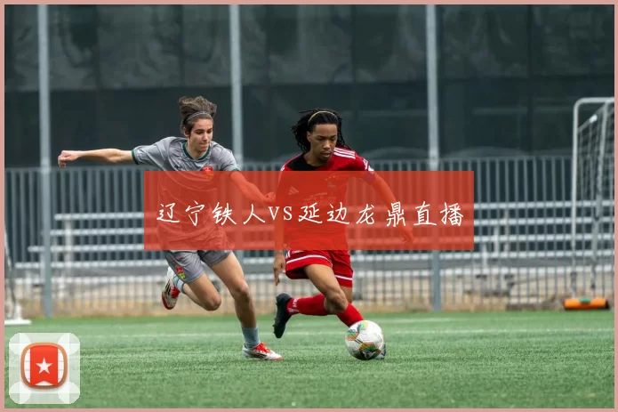 辽宁铁人vs延边龙鼎直播