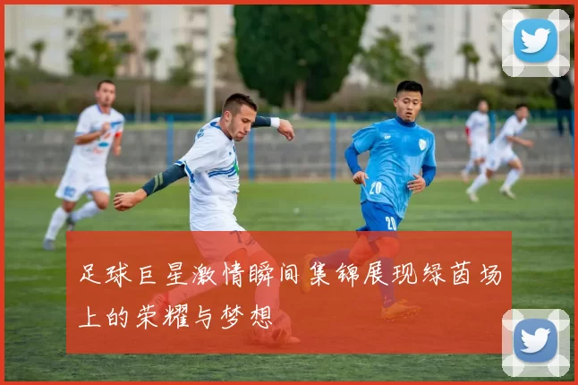 足球巨星激情瞬间集锦展现绿茵场上的荣耀与梦想
