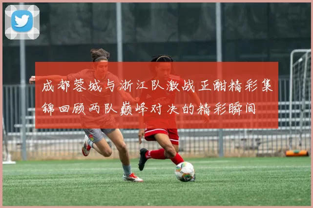 成都蓉城与浙江队激战正酣精彩集锦回顾两队巅峰对决的精彩瞬间