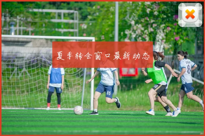 夏季转会窗口最新动态