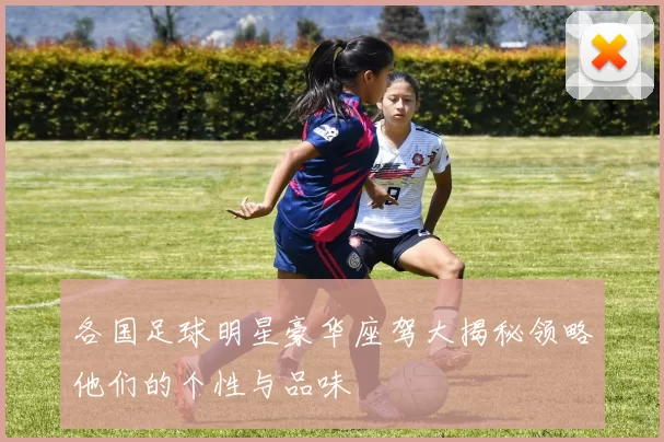各国足球明星豪华座驾大揭秘领略他们的个性与品味