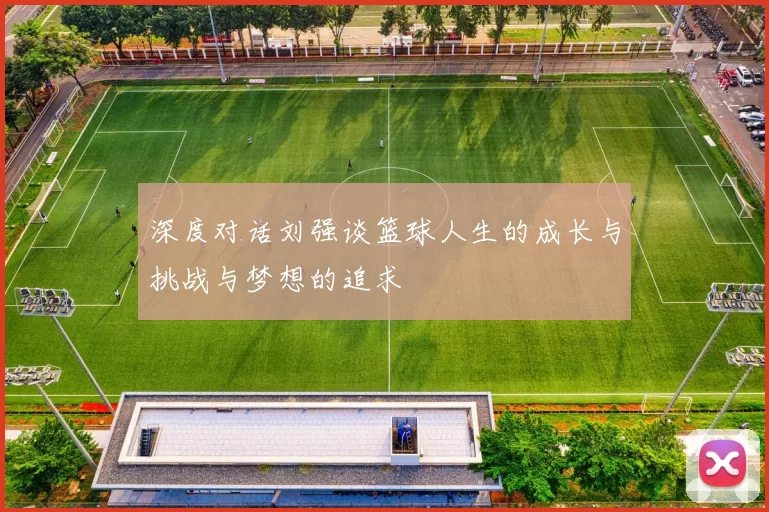 深度对话刘强谈篮球人生的成长与挑战与梦想的追求