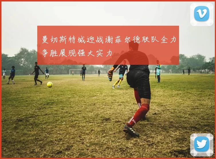曼切斯特城迎战谢菲尔德联队全力争胜展现强大实力