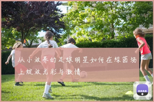 从小放养的足球明星如何在绿茵场上绽放光彩与激情