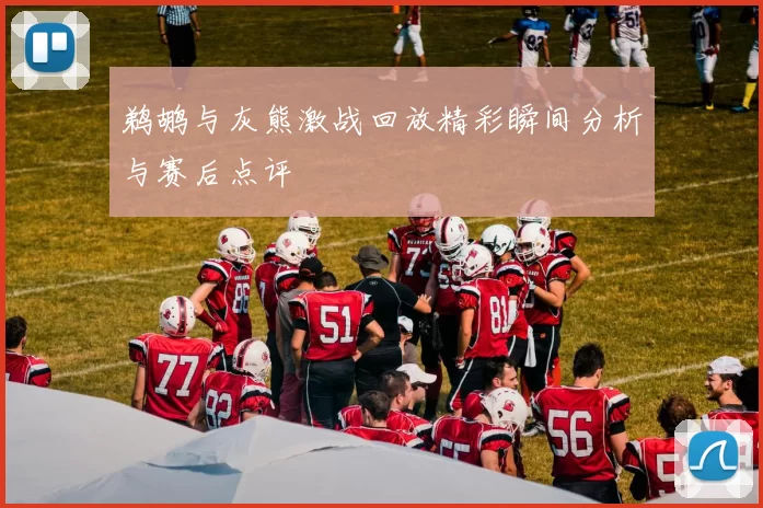 鹈鹕与灰熊激战回放精彩瞬间分析与赛后点评