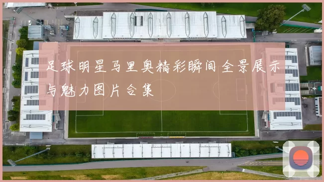 足球明星马里奥精彩瞬间全景展示与魅力图片合集